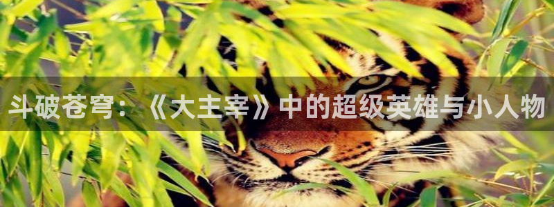 爱欲51漫画在线观看：斗破苍穹：《大主宰》中的超级英雄与小人物