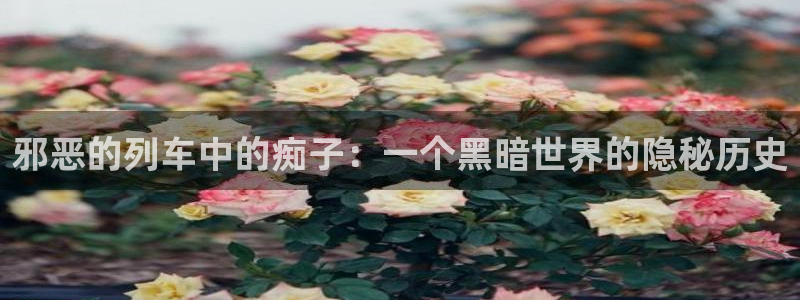51漫画入口网站：邪恶的列车中的痴子：一个黑暗世界的隐秘历史