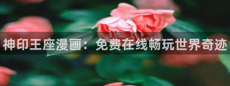 歪歪漫画51漫画免费阅读全文无删减版：神印王座漫画：免费在线畅玩世界奇迹