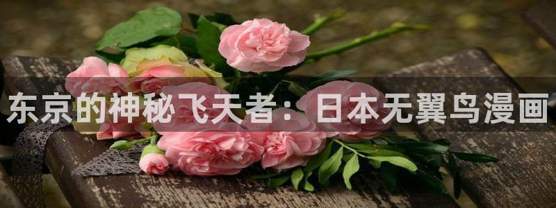 51漫画免费观看漫画大全：东京的神秘飞天者：日本无翼鸟漫画