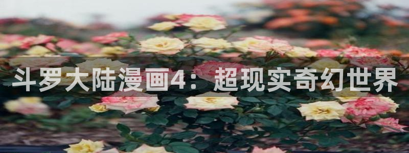 51漫画免费在线观看阅读：斗罗大陆漫画4：超现实奇幻世界