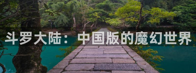 啪啪啪51漫画画：斗罗大陆：中国版的魔幻世界