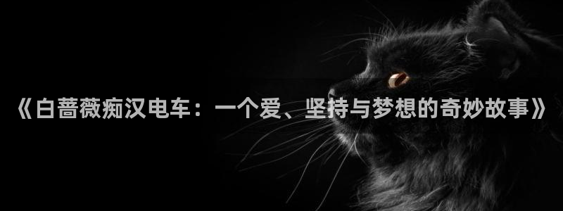 51漫画址：《白蔷薇痴汉电车：一个爱、坚持与梦想的奇妙故事》